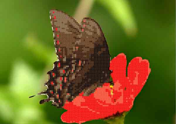 Бабочка - Основа для вышивки бисером