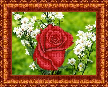 Роза в ромашках КБЦ  4021 Основа на габардине для вышивки бисером и крестом